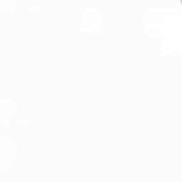 PainedFort1891의 동거