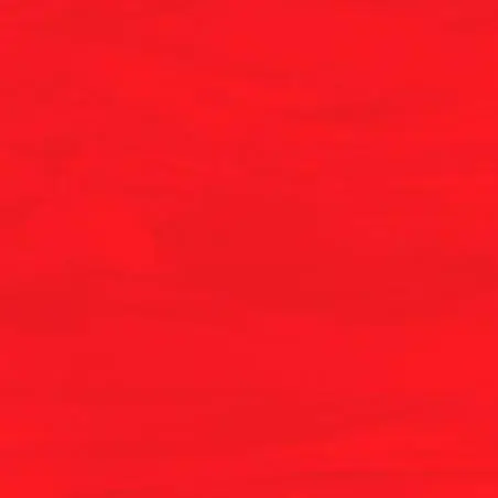 6xypg의 SEVENTEEN病院