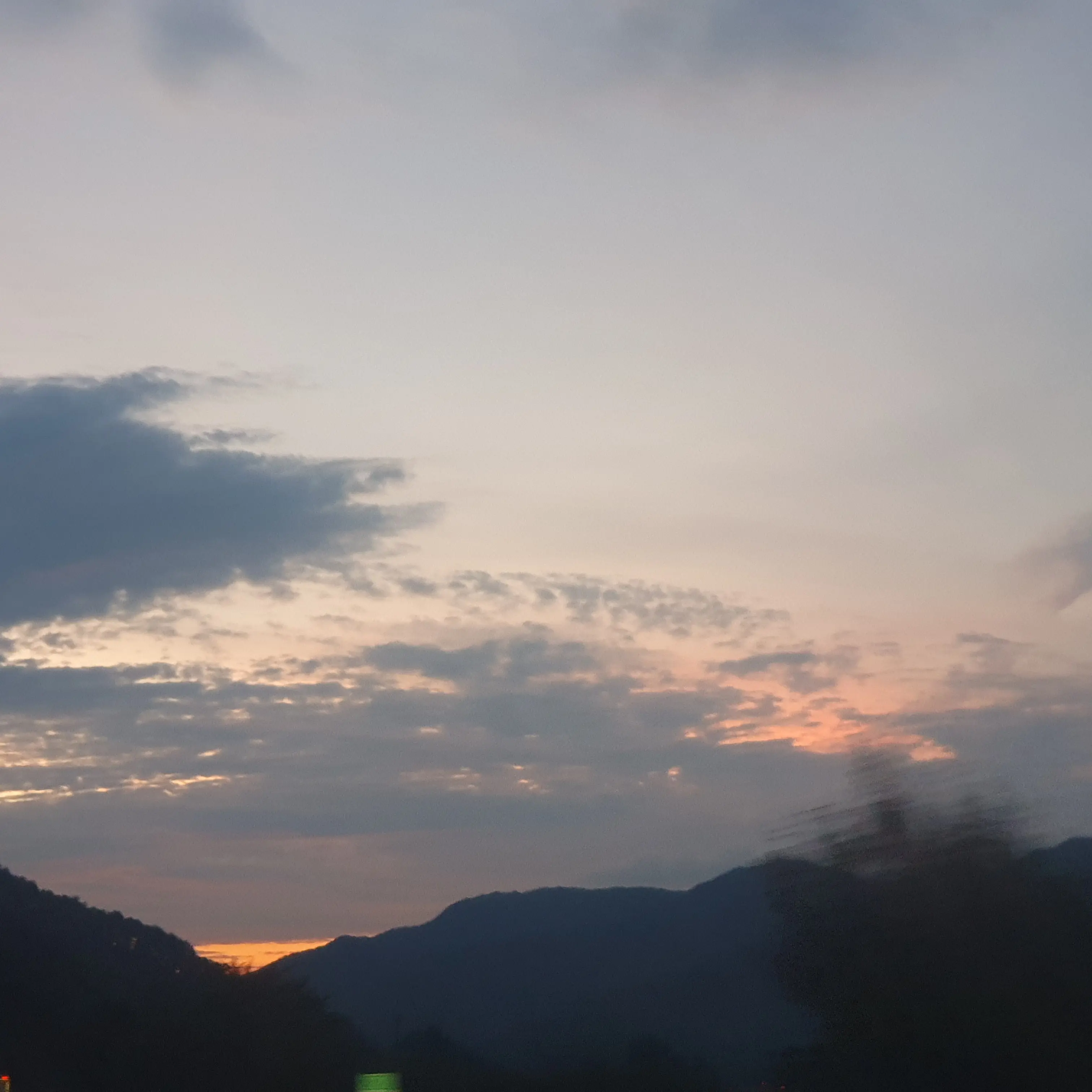 scrambled_egg의 한반도즈