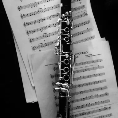 Profile image of 猪俣周杜