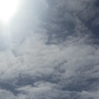 Profile image of 春香