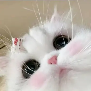 Profile image of 읁