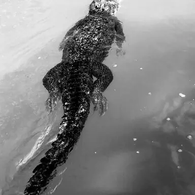 Profile image of 레이먼드