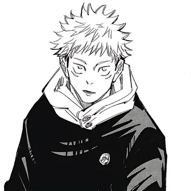 Profile image of 虎杖悠仁