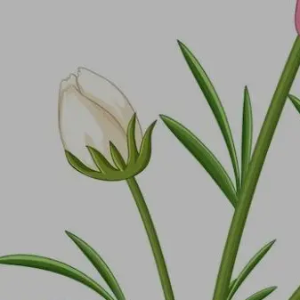 Profile image of 経済力