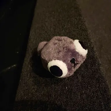 Profile image of 페블