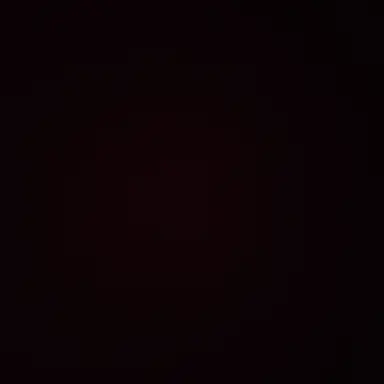 Profile image of 루룰루