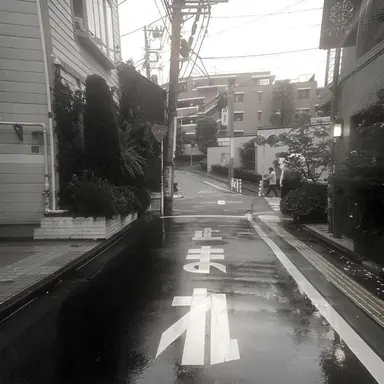 Profile image of 시미베