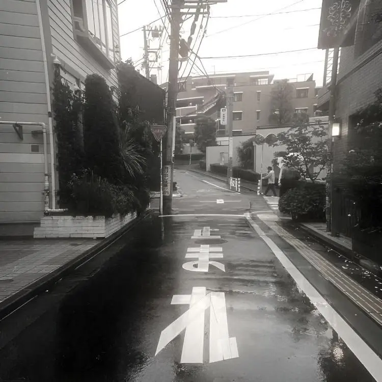 .-.o의 시미베