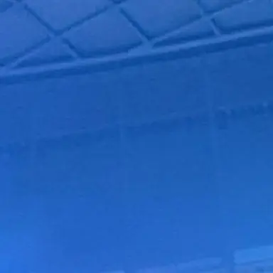 Profile image of th