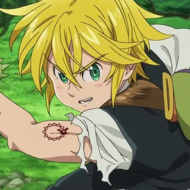 Profile image of メリオダス