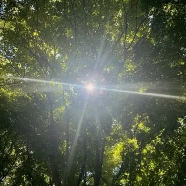 Profile image of 정형준