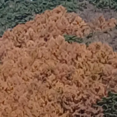 Profile image of 다키