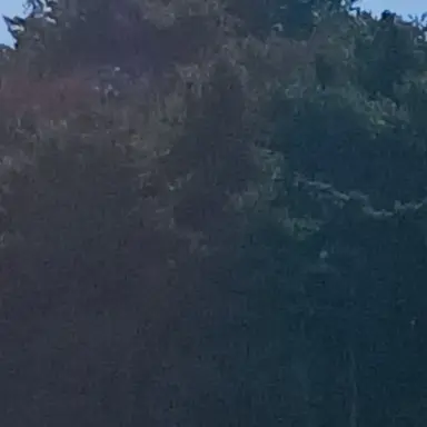 Profile image of 규타로