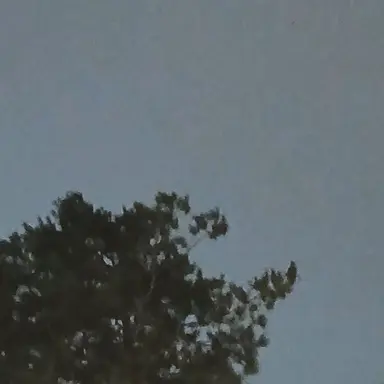 Profile image of 카가야