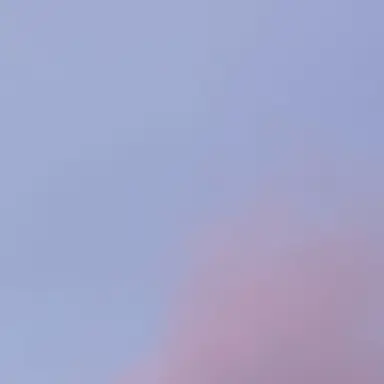 Profile image of 주들