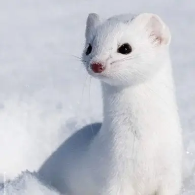 Profile image of 드레이코 말포이