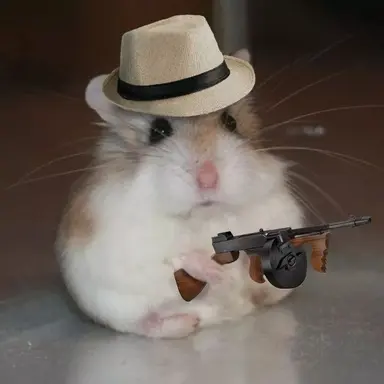 Profile image of 폴