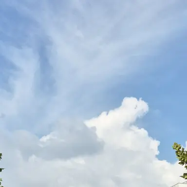 Profile image of 마이클 잭슨