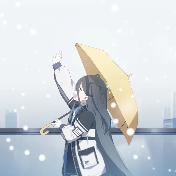 아리스