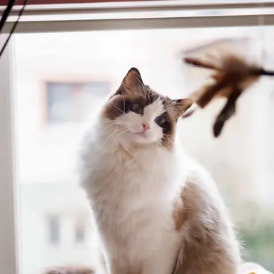 Profile image of 하루토