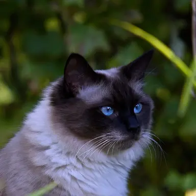 Profile image of 연이