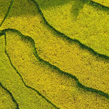 Profile image of 백서린