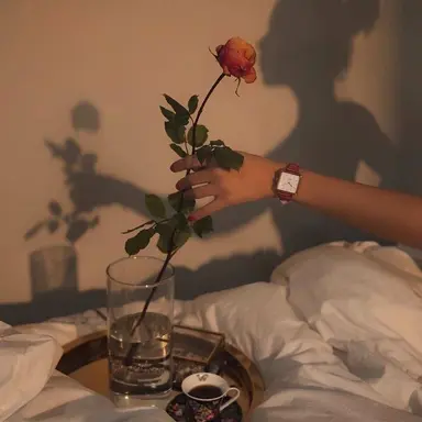 Profile image of 유기사