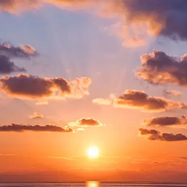 Profile image of 장원영