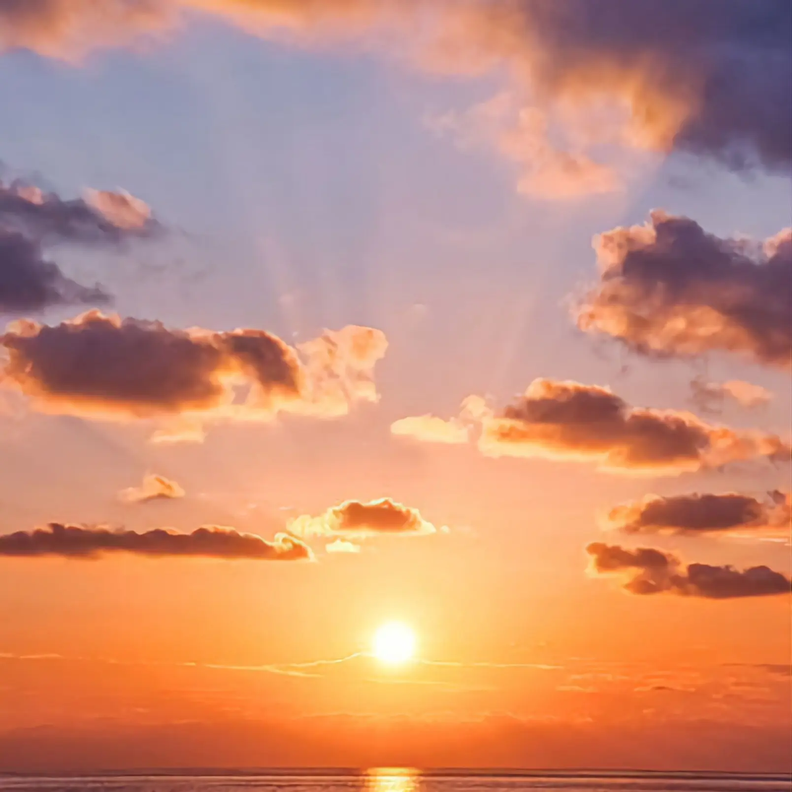 ShySwab5345의 모든 여돌이 망한 시대