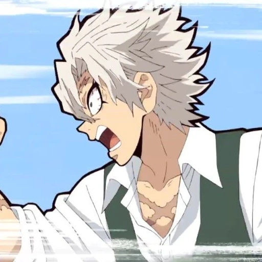 시나즈가와 사네미