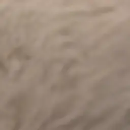 Profile image of ㅁㅈㅎ