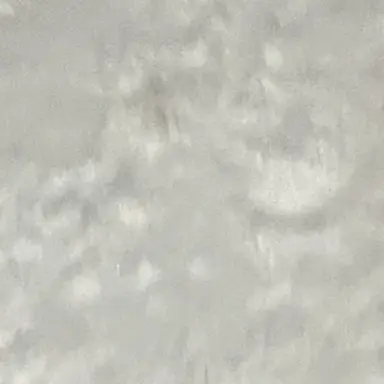 Profile image of 林田沙也香