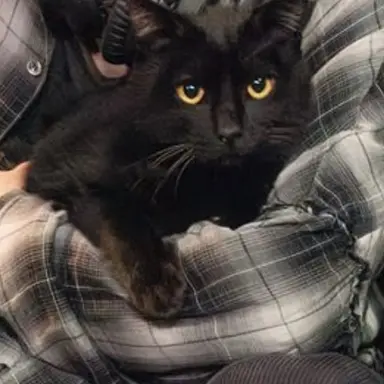 Profile image of 幸子