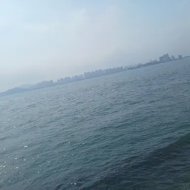 Profile image of 유기사