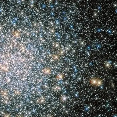 Profile image of 095