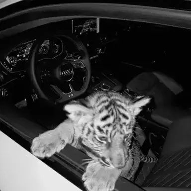 Profile image of F R I E N D G R O U P