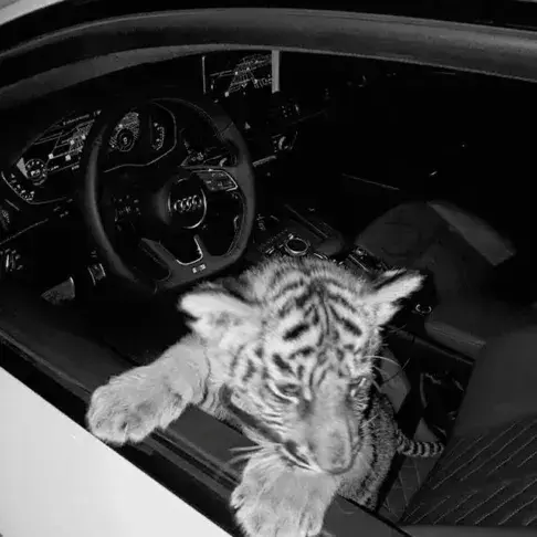 RottenEagle1389의 F R I E N D G R O U P