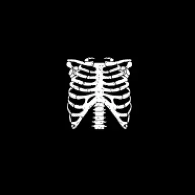 Profile image of 이름님