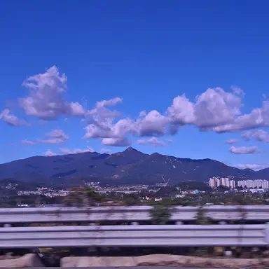 Profile image of 여우