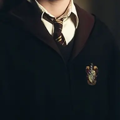 Profile image of 해리 포터