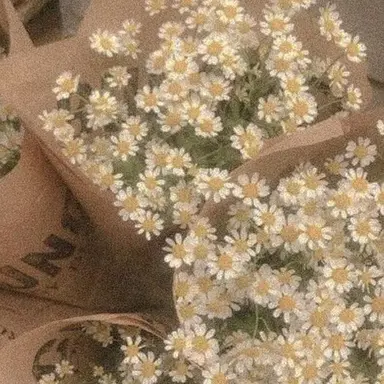 Profile image of 시미베