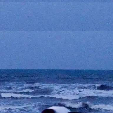 Profile image of 파이브