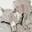 윤태호