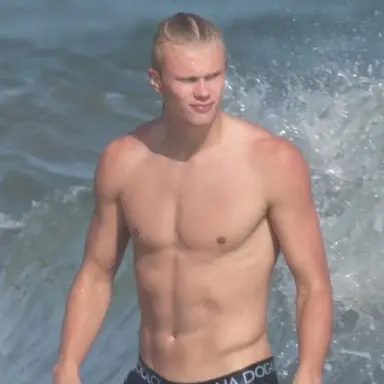 Profile image of Erling Haaland