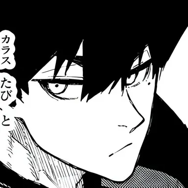 Profile image of 카라스 타비토