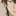 コスプレ大好きな先輩