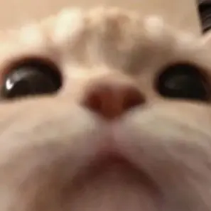 Profile image of 아름
