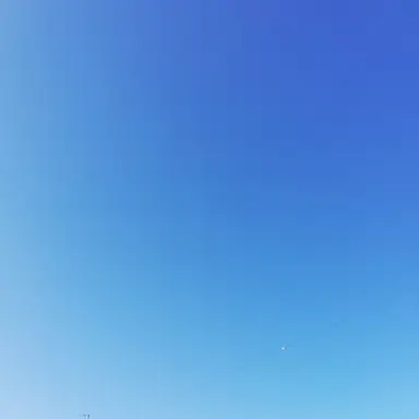 Profile image of 曽野しゅんた