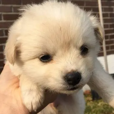 jeans1215의 이제훈